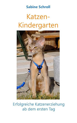 Tipp: Katzen-Kindergarten