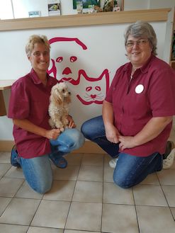 Das Team Tierarztpraxis Dr. Hucke in Wiesbaden, Tierarztleistungen Vorsorge, Reisen und Geriatrie